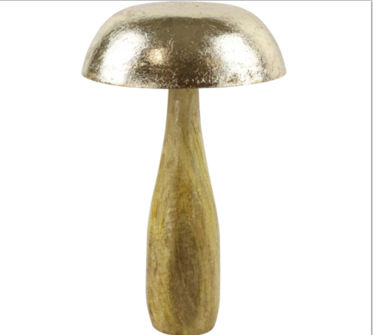 Funghi gold portafortuna